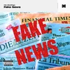 About Fake News Song