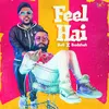 About Feel Hai Song