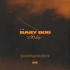 About Baby Boo Song