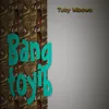 About Bang Toyib Song