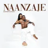 About Naanzaje Song