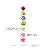 About Tomorrow Forever (feat. Laura Mam & VannDa) Song