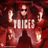 About Voices Song