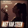 About Niet Van Steen Song