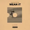 About Mean It Song