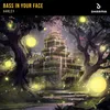 About Bass In Your Face Song