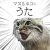 Pallas's cat song (feat. Tomomi Oda) [Seiho Remix]