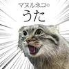 Pallas's cat song (Instrumental)