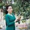 About Xác Pháo Bông Bần Song