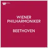 Symphony No. 1 in C Major, Op. 21: II. Andante cantabile con moto