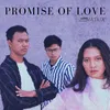 About Promise Of Love Song