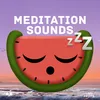 About Sleep Music, Pt. 100 Song