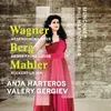 About Wagner: Wesendonck-Lieder: 4. Schmerzen Song