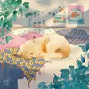 About Cat's Nap zzZ (feat. Utopi) Song