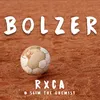 Bolzer