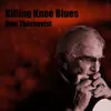 About Killing Knee Blues Song