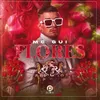 About Flores Song