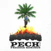 Pech (feat. Freddie Konings)