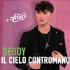 About Il Cielo Contromano Song