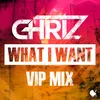 About What I Want (VIP Mix) Song