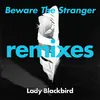 Beware The Stranger (Chris Seefried's Ambient Excursion) [feat. Trombone Shorty] [Radio Edit]