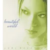 Beautiful World (Instrumental)
