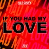 About If You Had My Love (feat. Zolie) Song