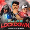 About Lockdown Song