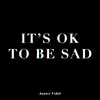 About It’s OK To Be Sad Song