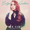 About Ulek Cinta Song