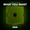 About What You Want Song