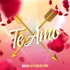 About Te Amo (feat. Flori Del Pino) Song