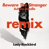 Beware The Stranger  (Ashley Beedle's 'North Street West' Radio Edit)