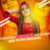 About Não to pra esquema Song