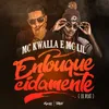 About Enlouquecidamente Song