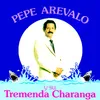 La Tremenda Charanga