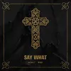 About Say What Song