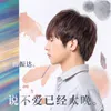 About 說不愛已經太晚 Song