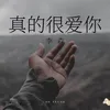 About 真的很愛你 Song