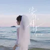 About 像什麼樣子 Song