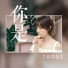 About 你是 Song