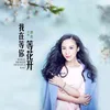 About 我在等你等花開 (獨唱版) Song