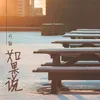 About 如果說 Song