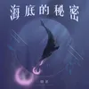 About 海底的秘密 Song