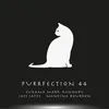 About Purrfection 44 Song