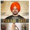 About Punjabi Sher Song