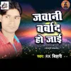 About Jawani Barbad Ho Jaai Song