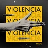 About Violencia Song