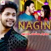 About Nagin Song