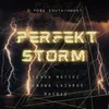 About Perfekt Storm Song